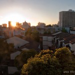 Ode to Oakland The afternoon sun entices me out of my desk chair and over to the window. Floor to ceiling, wall to wall, Downtown Oakland. Seven palm...