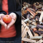 The Smell of Fall | Apple Picking in Sebastopol I came out of my building and saw the spotted concrete… it rained? There are only two main seasons in the Bay Area– rainy and...
