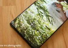 Karly & Mario | Kiss Wedding Albums Wedding albums are my favorite way to showcase my couple’s weddings. These heirloom quality books are custom designed to tell the story of their day,...