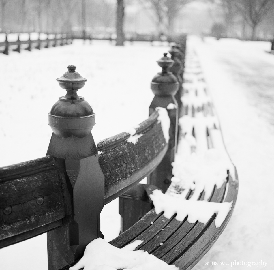 Snowy Central Park | Film Photography by Anna Wu