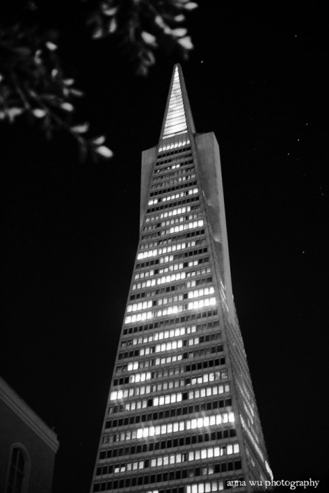 Transamerica Building San Francisco | Anna Wu Photography