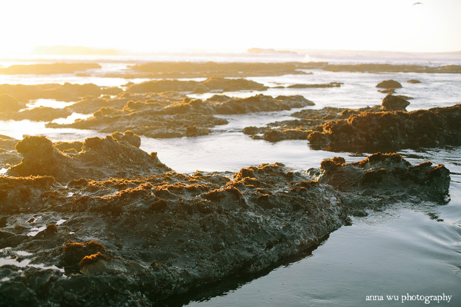 Sunset at the Tidal Pools | California Photography