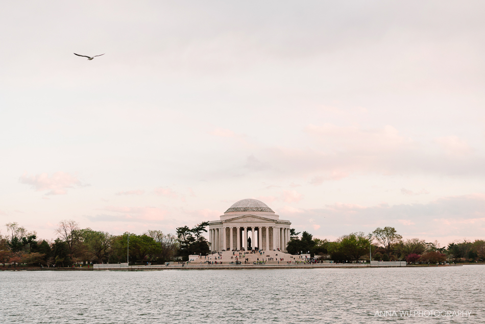 Washington D.C. Travelogues | Anna Wu Photography