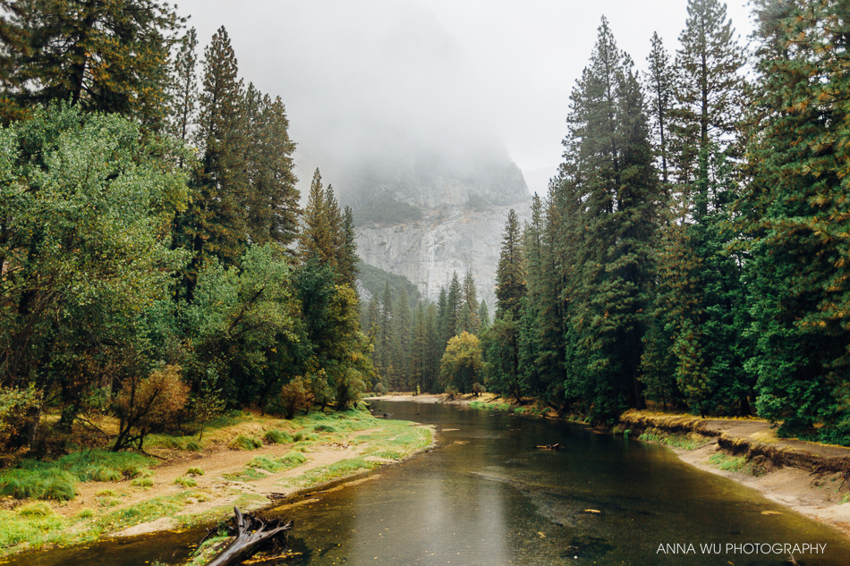 Rainy Day in Yosemite National Park | Anna Wu Travelogues
