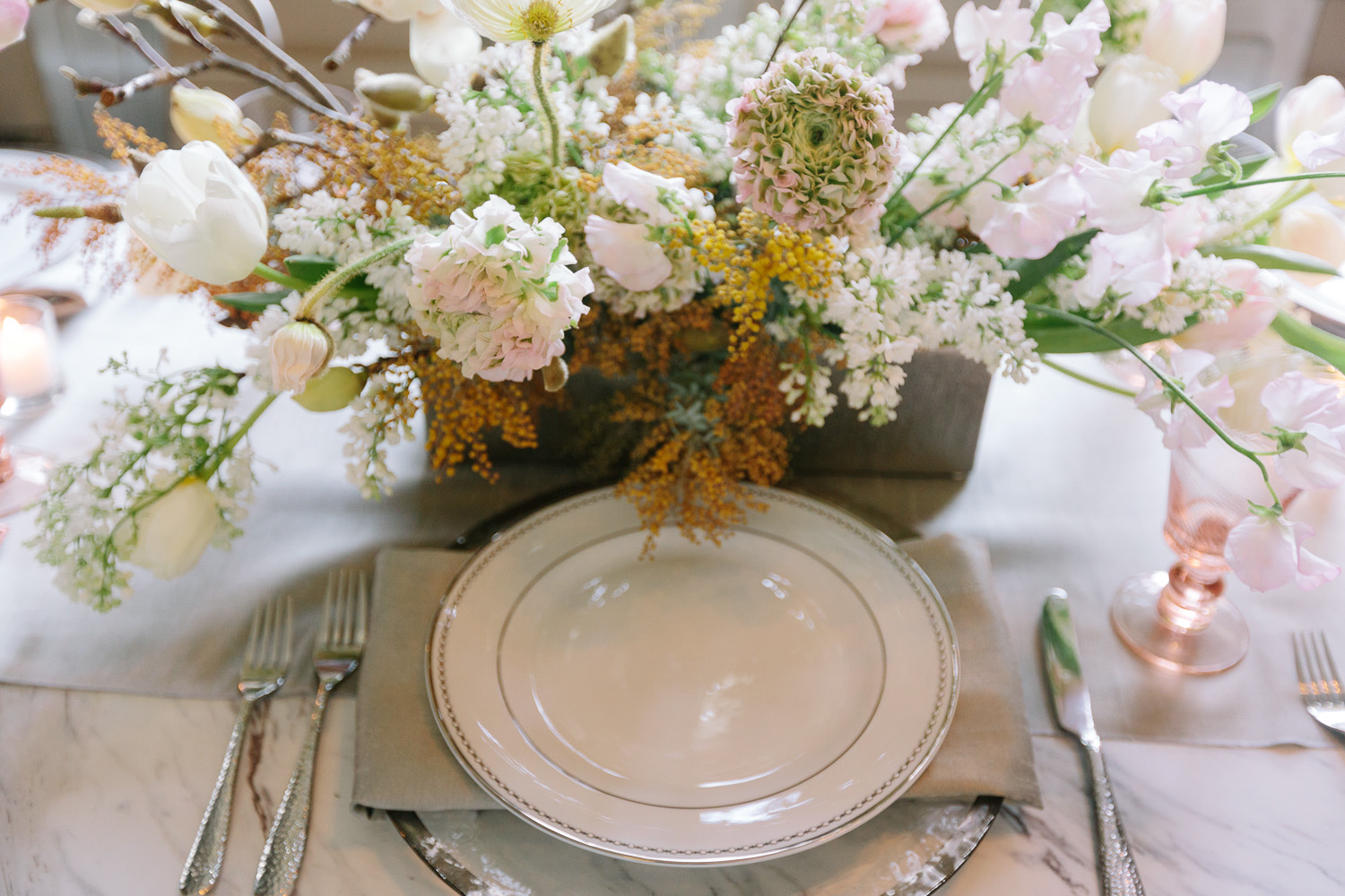 Presidio Celebrations Showcase