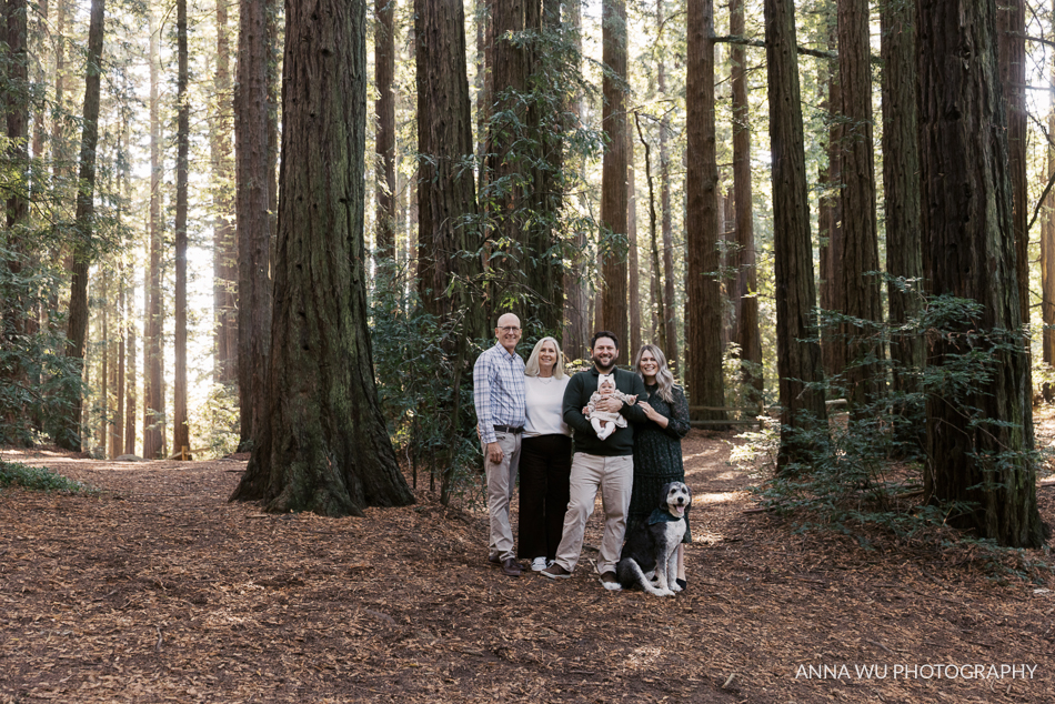 Beverly Family | Oakland Redwoods Portraits