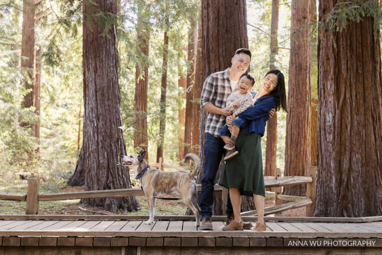 Hillary & Paul’s Family | Bay Area Mini Session